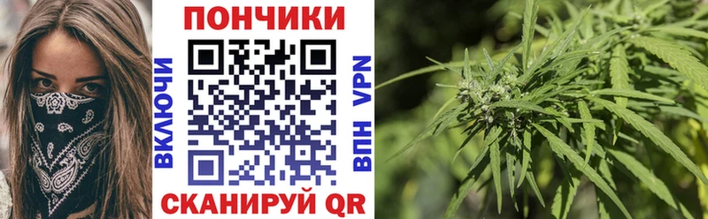 Купить  Волосово  Бошки марихуана ГИДРОПОН 